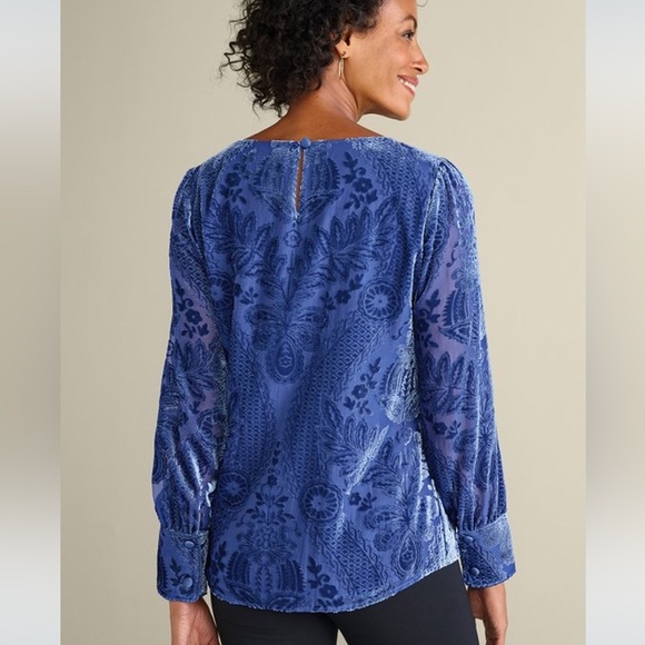 🆕Soft Surroundings Vanetta Velvet Top Sapphire Blue Velvet Floral Top 1X NWT - Picture 8 of 16